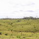 Destruction of Amazon rainforest surrounding the Boiling River site, via Andres Ruzo